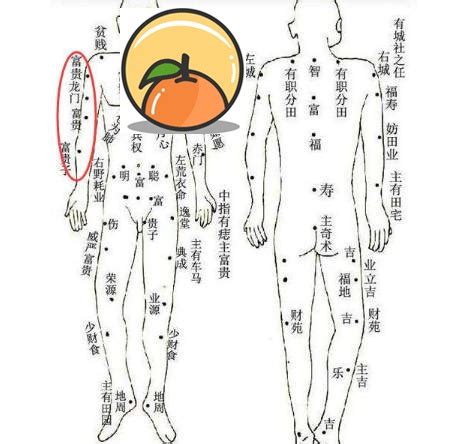 下手臂有痣|手臂上有痣會有什麼樣的命運？對照自己手臂來看！